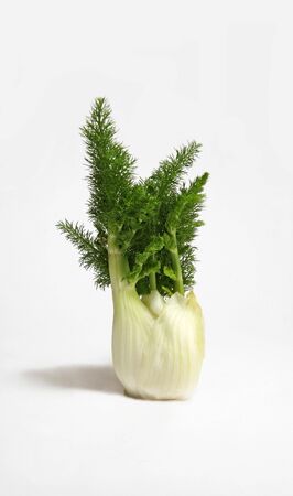 The bulb of fennel is isolated on a white backgroundの写真素材