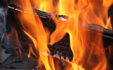 Log on fire with flames in red