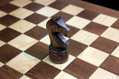 Black chess horse on a game fieldの写真素材