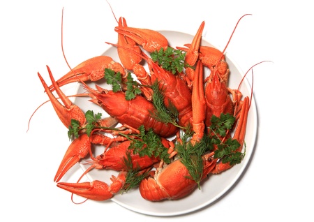 A dish with boiled crawfish, fennel and parsleyの写真素材