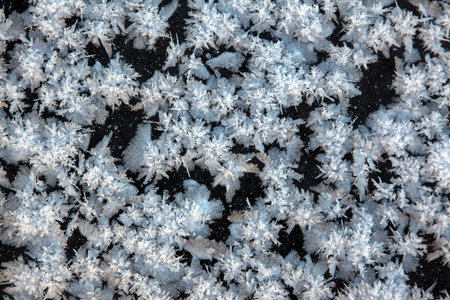 Frosty natural pattern at a winter window glass 