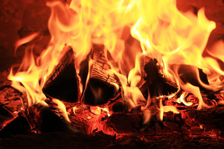 firewood burns in a fire on a black background