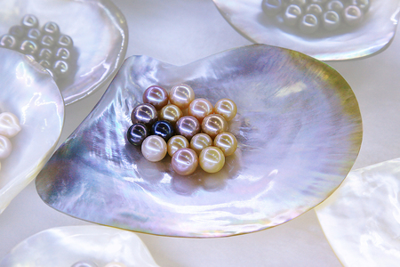 Large sea pearls on the background of mother-of-pearl shellの写真素材
