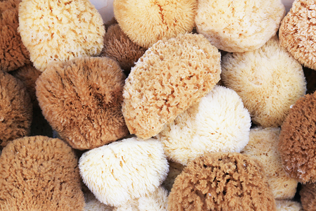 Natural sponge in different sizes creating a patternの写真素材