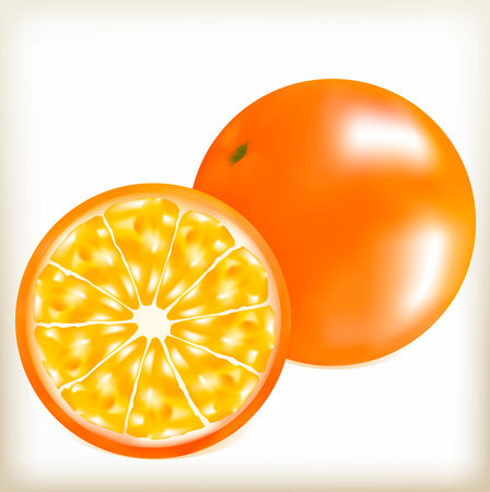 orange round, citrus fruit, a natural fruit, a useful product, an orange circle, an orange peel, juicy pulp, a brilliant side, round grapefruit, is divided into segments, tasty food, the southern fruitのイラスト素材