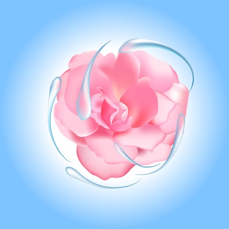 Pink rose, flower, illustration for packing, pink water, a live plant, the circular rotation of liquid, a blue background, a flower moistening means, a fragrant flowerのイラスト素材