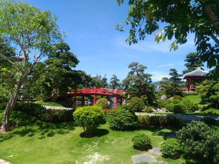 Red carpet, bushes with flowers, green grass, blue sky, landscape design