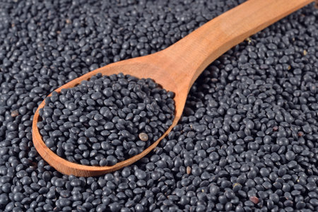 Black raw lentil in a wooden spoonの写真素材