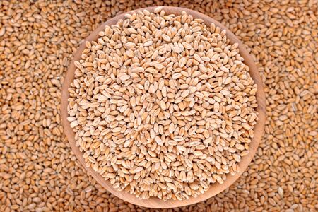 Wheat grains close up  in a wooden bowlの写真素材