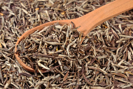 Green tea leaves in a wooden spoonの写真素材