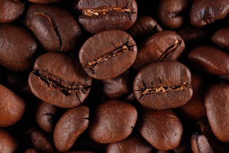 Natural brown and well-roasted coffee beans backgroundの写真素材