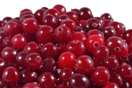 Heap of fresh red cranberries on a white background