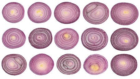 Set of red onion slices on a white backgroundの写真素材