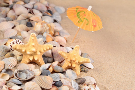 Starfishs and seashells close-up on a sand background