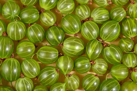 Fresh green gooseberry close up as background textureの写真素材