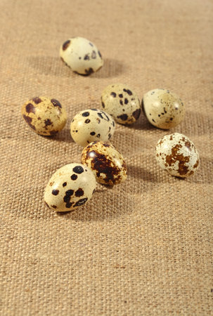 Quail eggs close up in a sacking backgroundの写真素材
