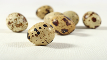Quail eggs close up in a sacking backgroundの写真素材