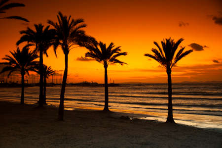 Sunset on the arenal beach on the island of Mallorca in Spainの写真素材
