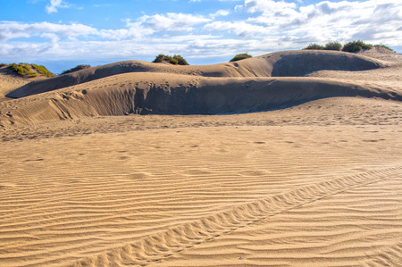 View on sunny Maspalomas dunes in Gran Canaria in daytime. Cloudy sky on background.の写真素材