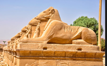 Egyptian lions in rowの写真素材