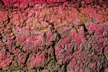 Close-up of colorful stone wall