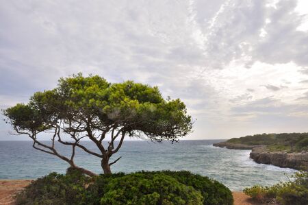 Beautiful scene of rocky land and endless sea under cloudy skyの写真素材