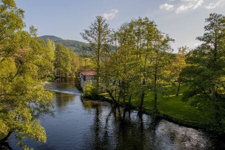Summer forest with flowing river in sunlightの写真素材