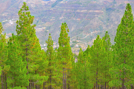 Gran Canaria Islandの写真素材