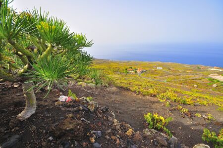Volcanic landscapes of the island of the palmの写真素材