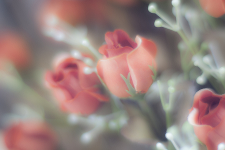 Beautiful bokeh of red roses of plasticの写真素材