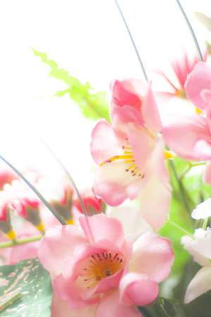 Pink plastic flower bokeh on white backgroundの写真素材