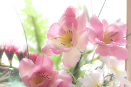Pink plastic flower bokeh on white backgroundの写真素材