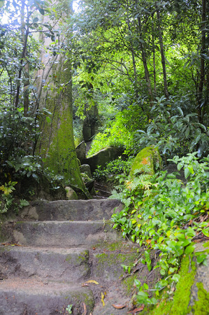 Gardens fifth da regaleira in sintra Portugalの写真素材