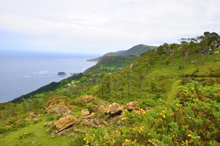 coast of death in galiciaの写真素材