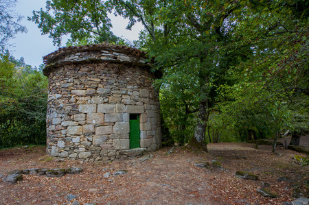 Forest in summer in galicia spainの写真素材