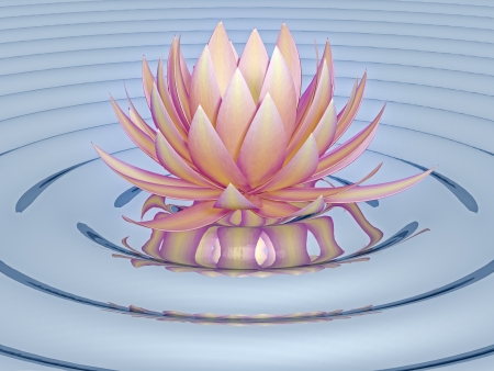 lotus flowerの写真素材