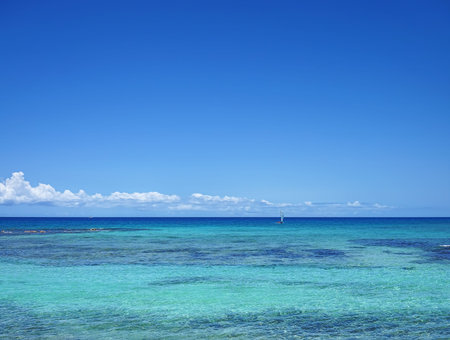 sea