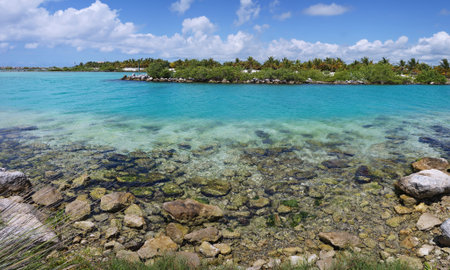 sea