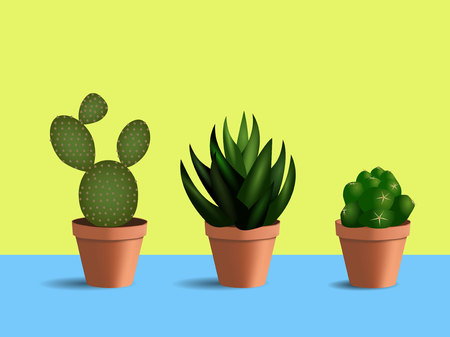 3d set of 3 succulents in round pots. Indoor plants on blue table and yellow background.のイラスト素材