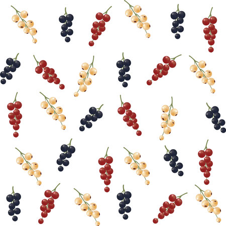 Seamless pattern, white, red and black currants on a colorless background. Beautiful background for your designs, wallpapers, fabrics, textiles and more.のイラスト素材