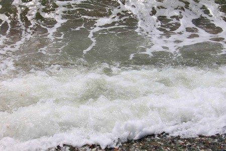 A photo on the bark depicts a sea wave and sea foam.の写真素材