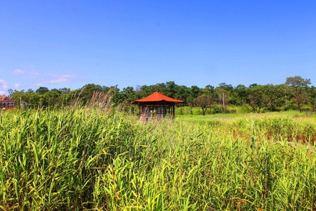 A photo depicts a gazebo on the water.の写真素材