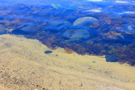 Photo which shows the sea and islands.の写真素材