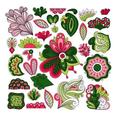 Graphic leaves, herbs and flowers. Hand drawn floral vector elementsのイラスト素材