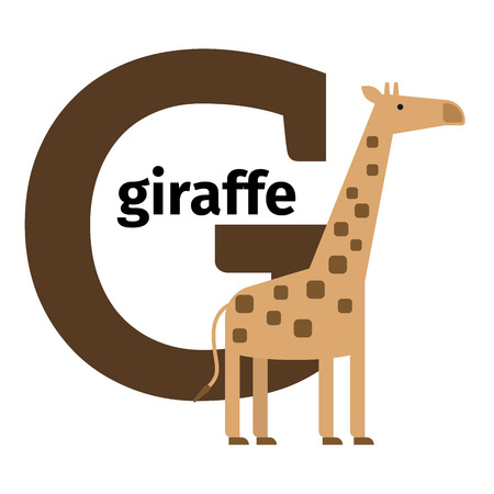 English animals zoo alphabet with letter G. Giraffe vector illustrationのイラスト素材