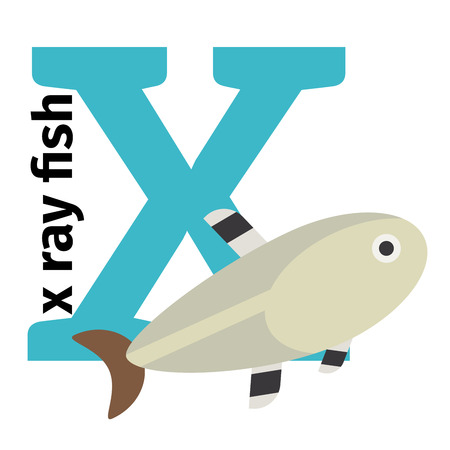 English animals zoo alphabet with letter X. X ray fish vector illustrationのイラスト素材