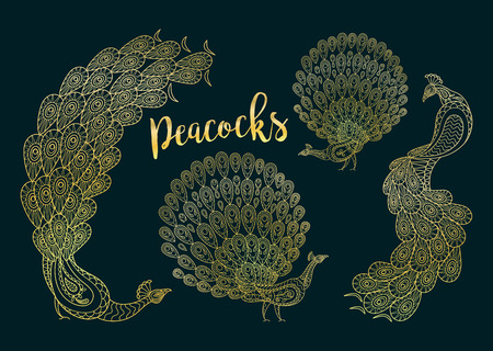 Golden peacocks set on the dark turqiouse background. Vector illustrationのイラスト素材