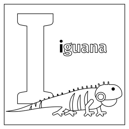 Coloring page or card for kids with English animals zoo alphabet. Iguana, letter I vector illustrationのイラスト素材