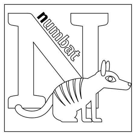 Coloring page or card for kids with English animals zoo alphabet. Numbat, letter N Vector illustrationのイラスト素材