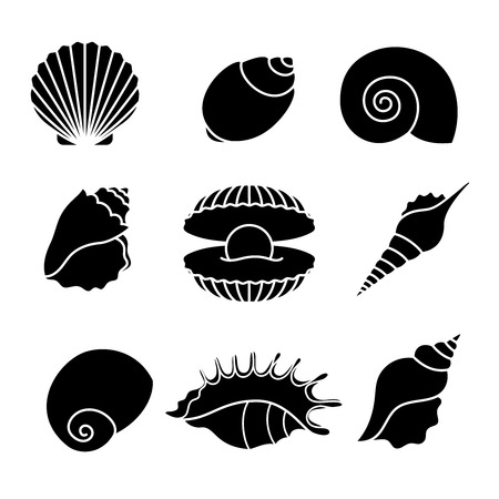 Vector sea shells and pearl seashell silhouettes isolated on white backgroundのイラスト素材